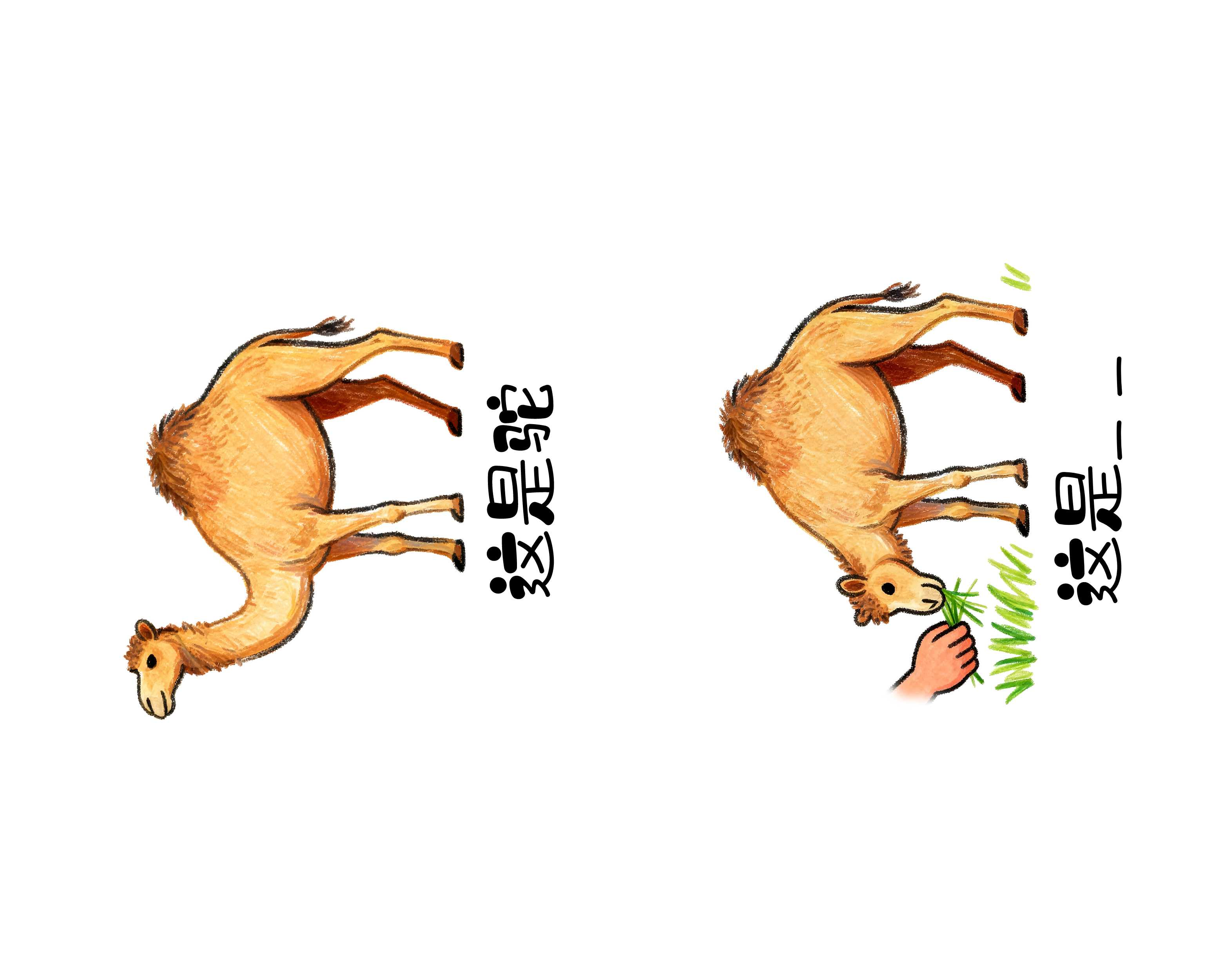 PP电子模拟器(试玩游戏)官方网站